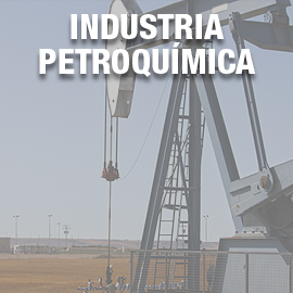 industria petroquimica